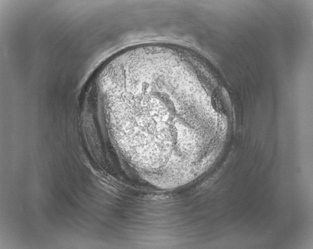 X0000055981501200509091939