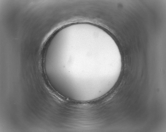 X0000055981502200509091939