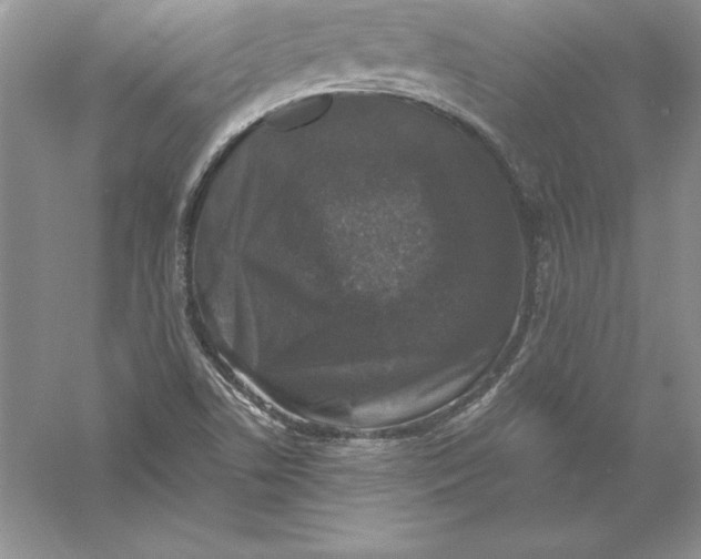 X0000055981506200509091939