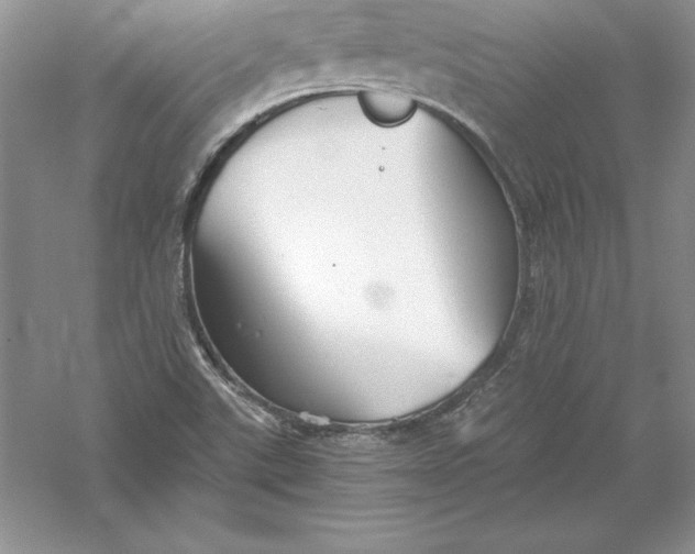 X0000055981507200509091939