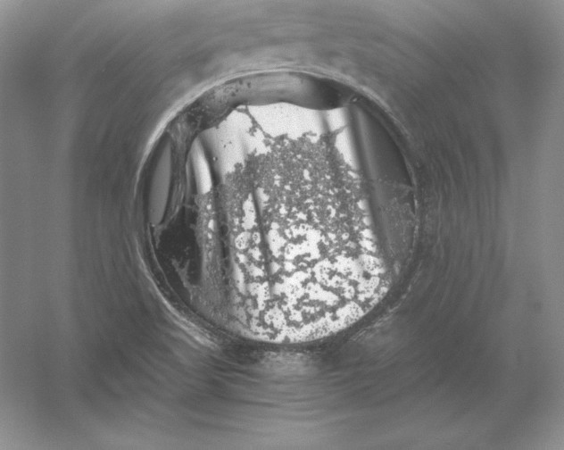 X0000055981509200509091939