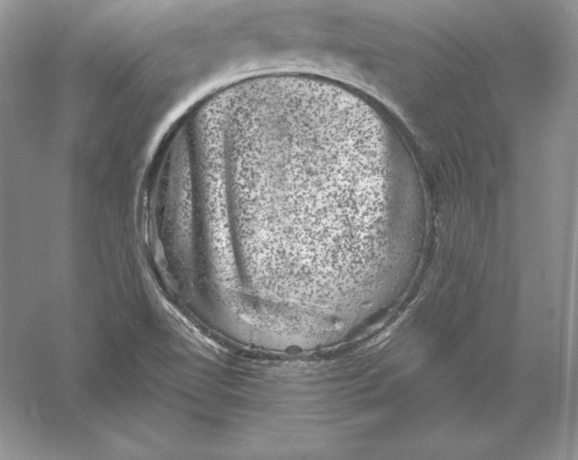 X0000055981510200509091940