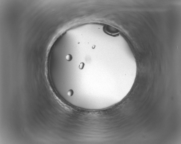 X0000055981512200509091940