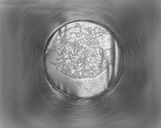 X0000055981513200509091940