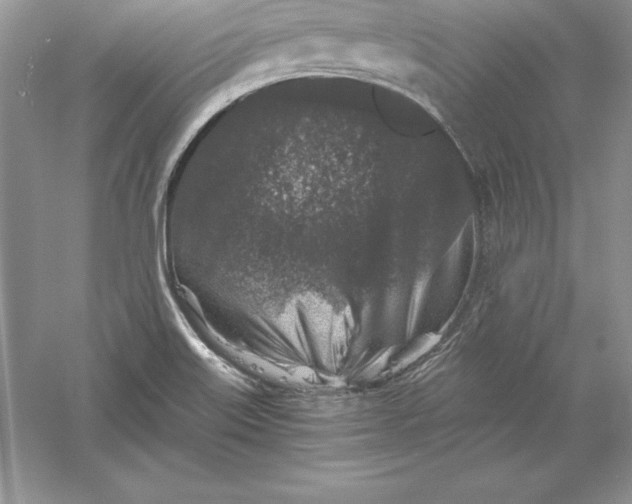 X0000055981515200509091940