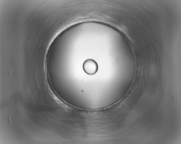 X0000055981516200509091940