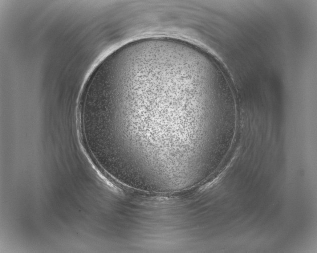 X0000055981517200509091940