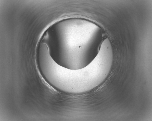 X0000055981518200509091940