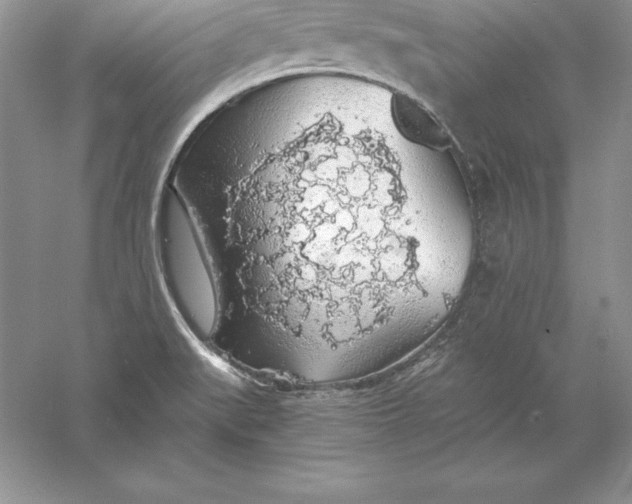 X0000055981519200509091940