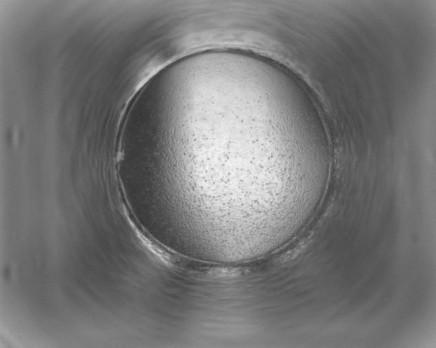 X0000055981521200509091940