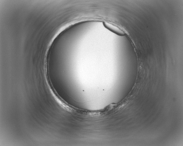 X0000055981523200509091940