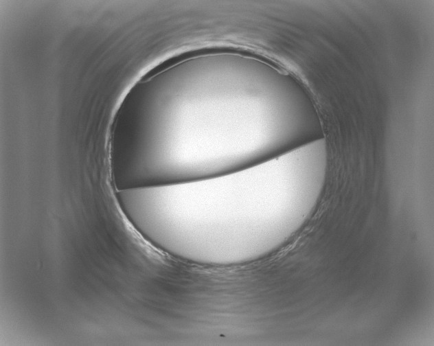 X0000055981524200509091940