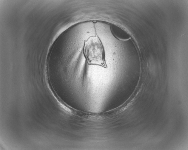 X0000055981525200509091940