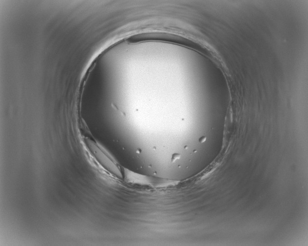 X0000055981530200509091940