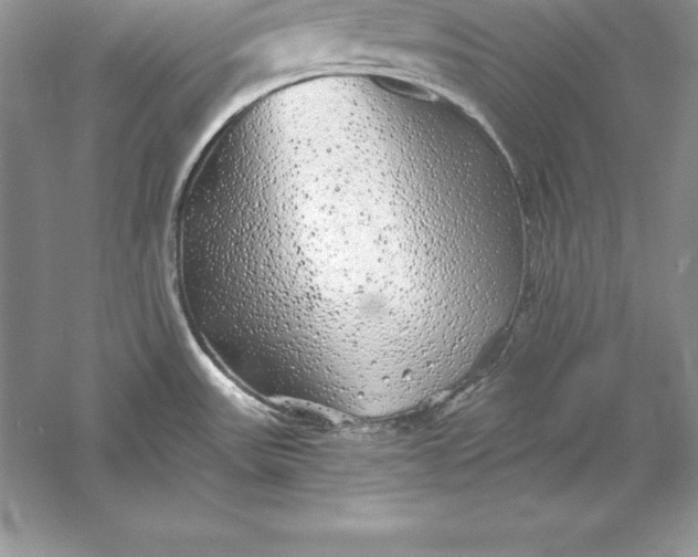 X0000055981531200509091940