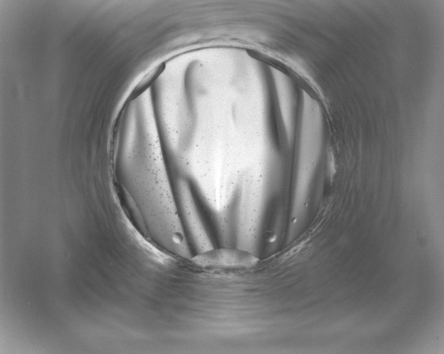 X0000055981532200509091940