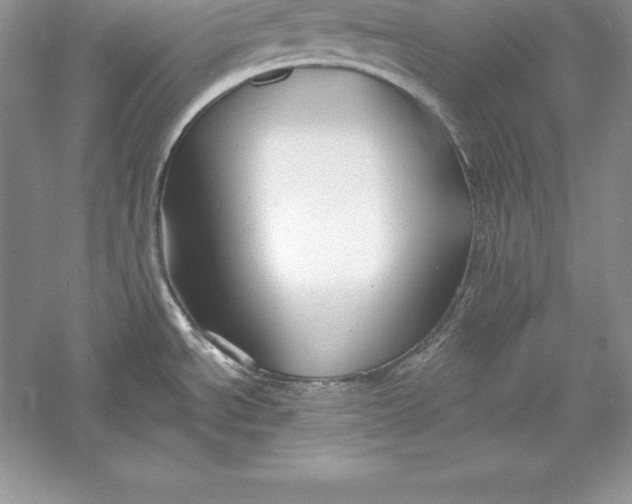 X0000055981534200509091940