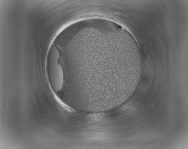 X0000055981535200509091940