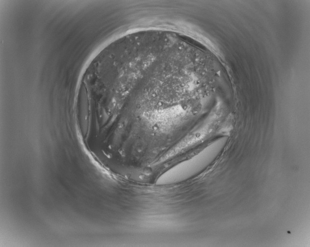 X0000055981536200509091940