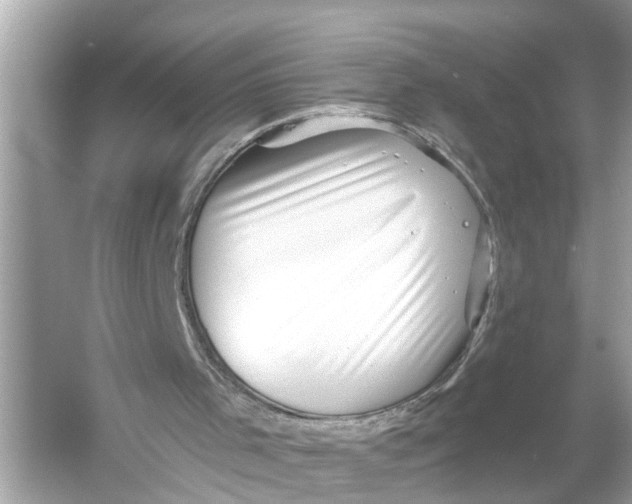 X0000055980001200509162237