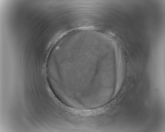 X0000055980002200509162237