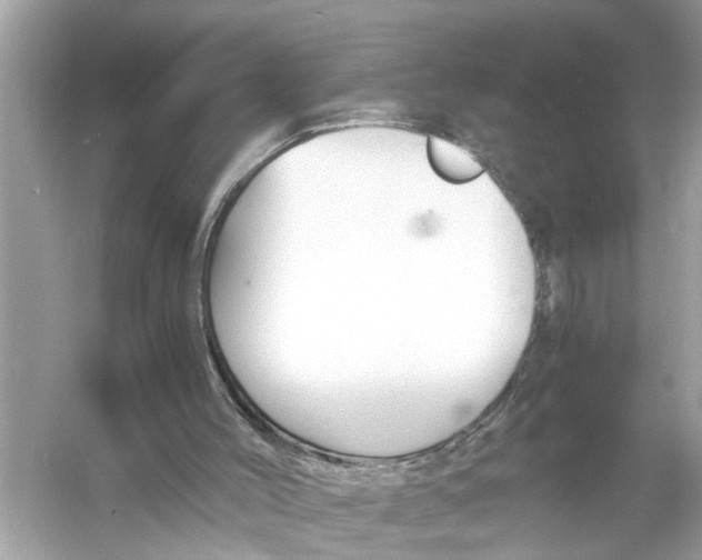 X0000055980004200509162237