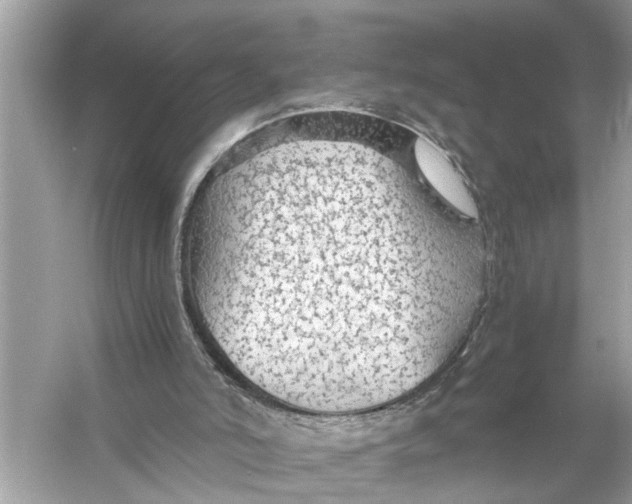 X0000055980006200509162237