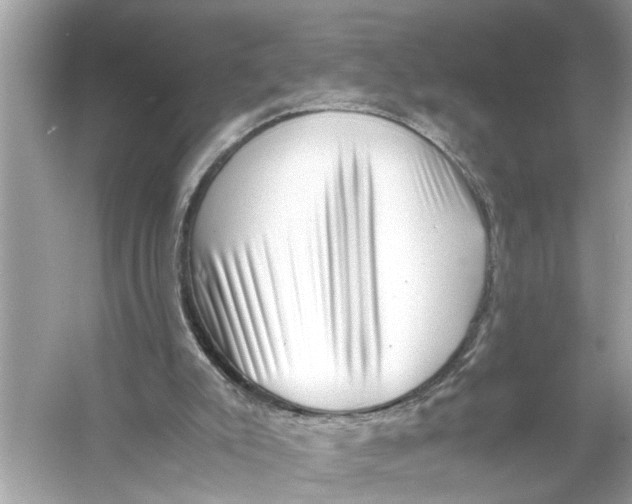 X0000055980007200509162237