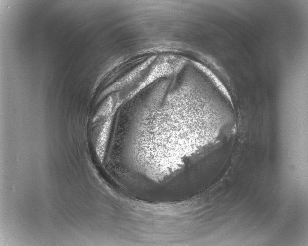 X0000055980010200509162237