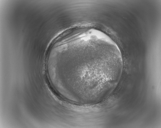 X0000055980012200509162237