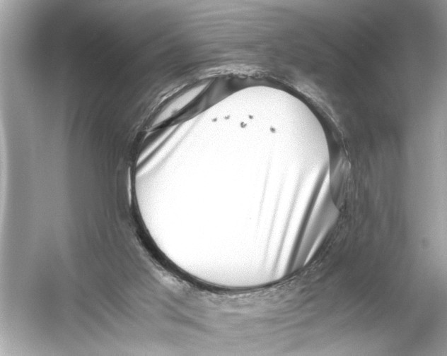 X0000055980013200509162237