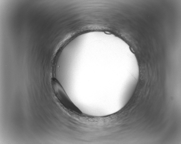 X0000055980015200509162237