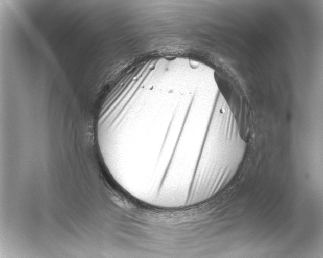 X0000055980017200509162237