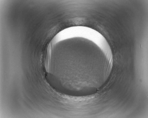 X0000055980018200509162237