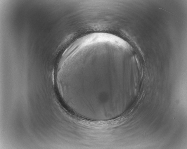 X0000055980019200509162237