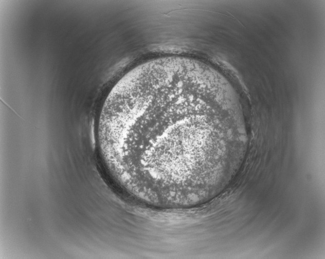 X0000055980020200509162237