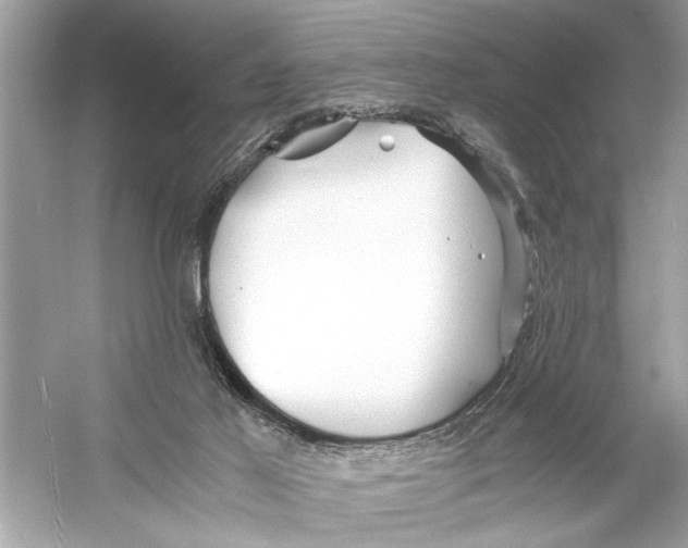 X0000055980021200509162237