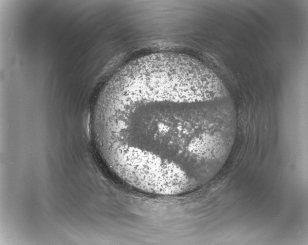 X0000055980024200509162237