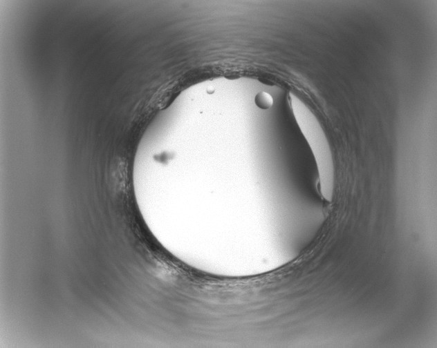 X0000055980025200509162237