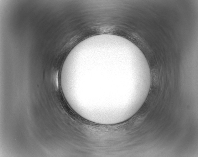 X0000055980028200509162237