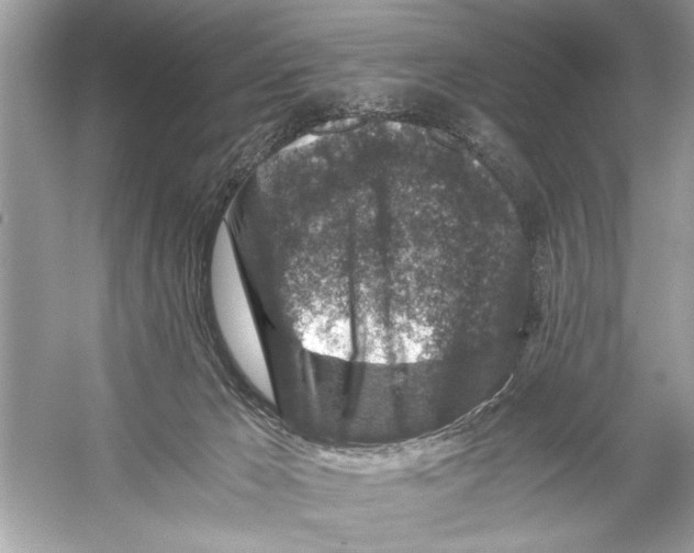 X0000055980029200509162237