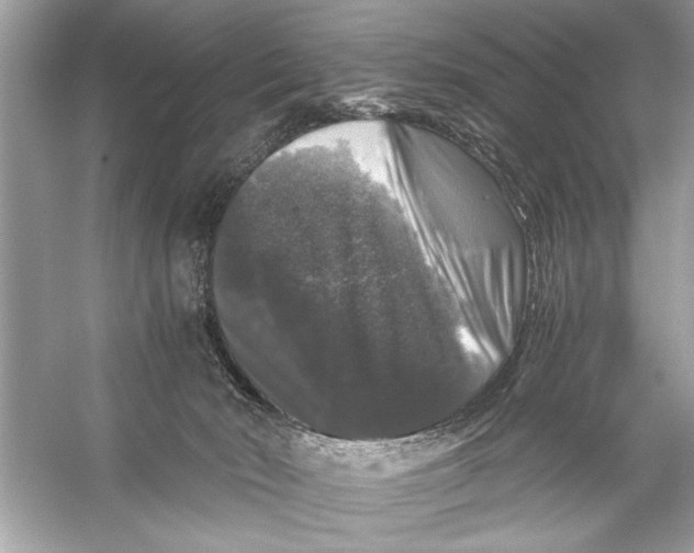 X0000055980030200509162237