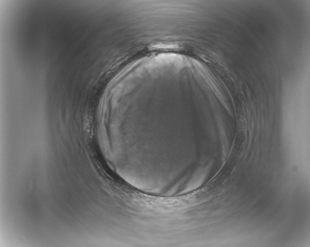 X0000055980031200509162237