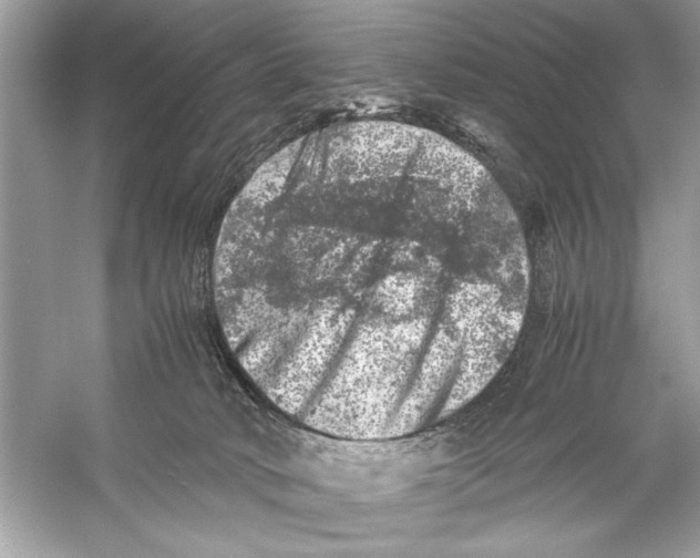 X0000055980034200509162237