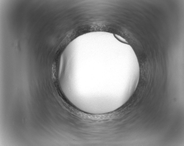 X0000055980038200509162237