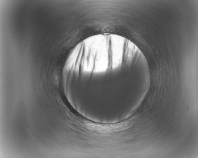 X0000055980039200509162237