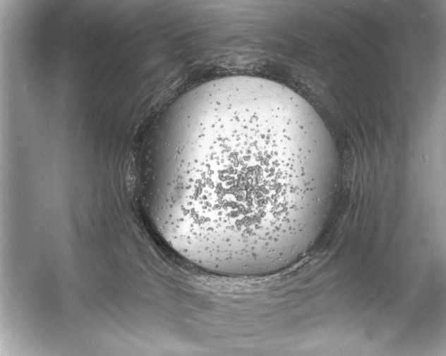 X0000055980040200509162237