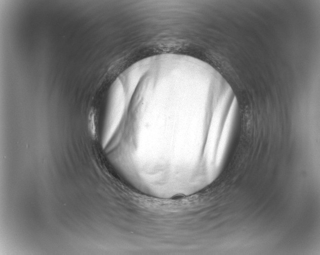 X0000055980042200509162237