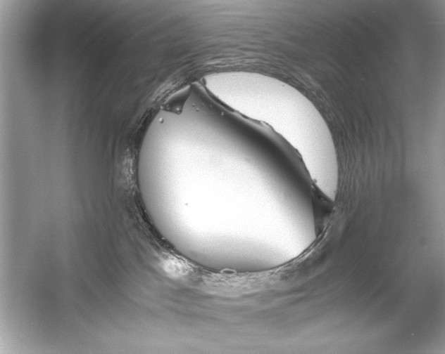 X0000055980045200509162237