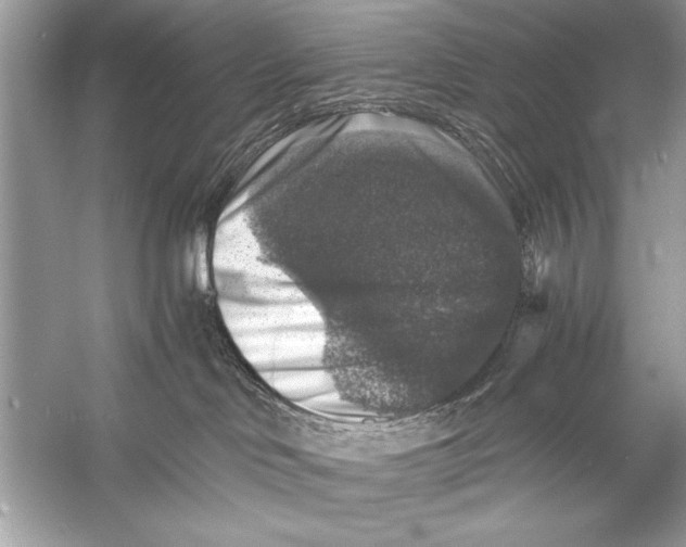 X0000055980046200509162237